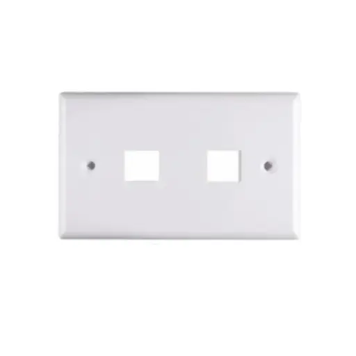 [202978] FACE PLATE DOBLE 2 TOMAS BLANCO WIREPLUSS WP-FP02-WHITE